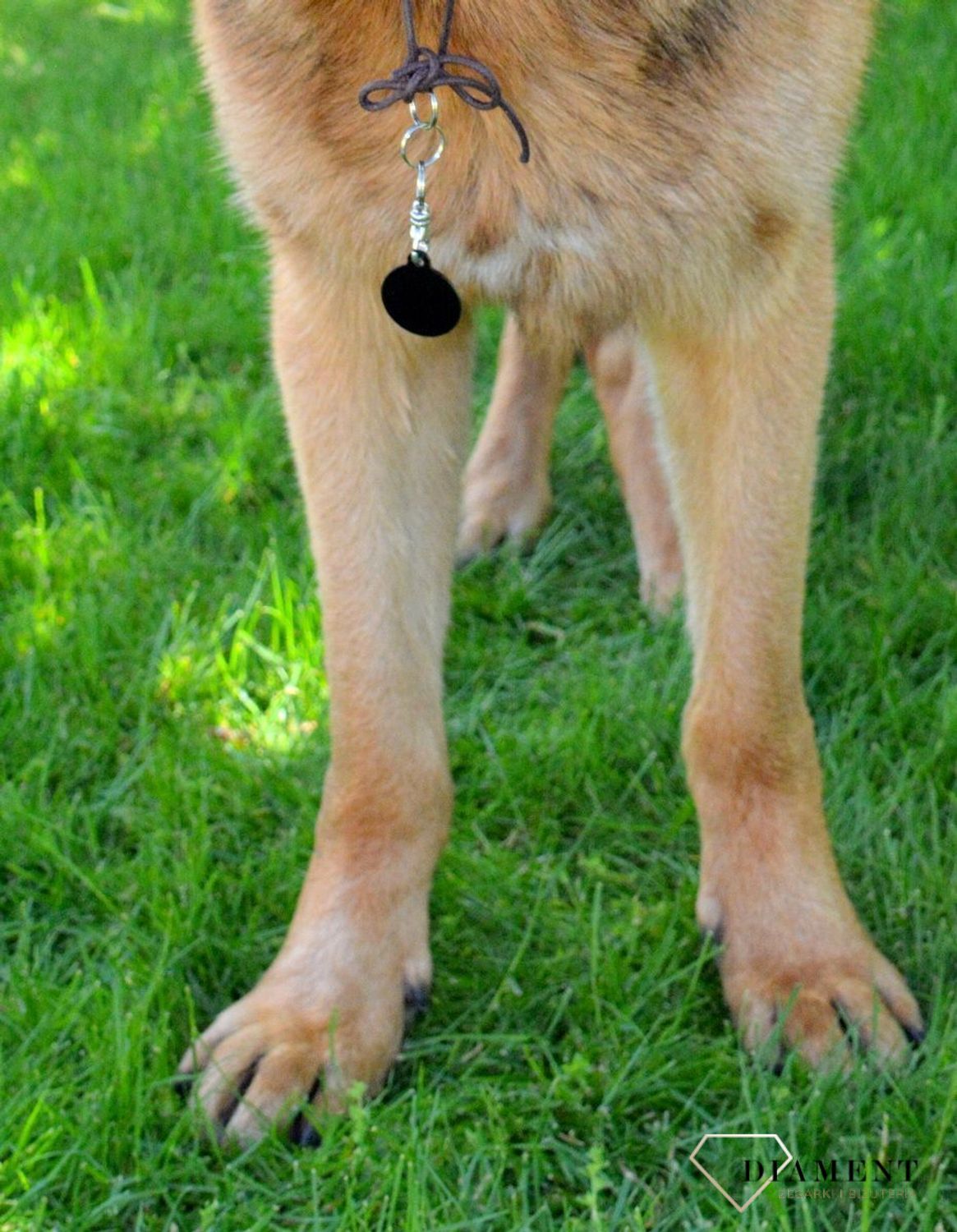 Kółko blaszka dla pupila czarna 2,5 cm z miejscem na grawer.Kółko blaszka dla pupila czarna 2,5 cm z miejscem na grawer. Blaszka w formie adresówki, identyfikatora dla psa. Blaszka z miejscem na grawer..jpg